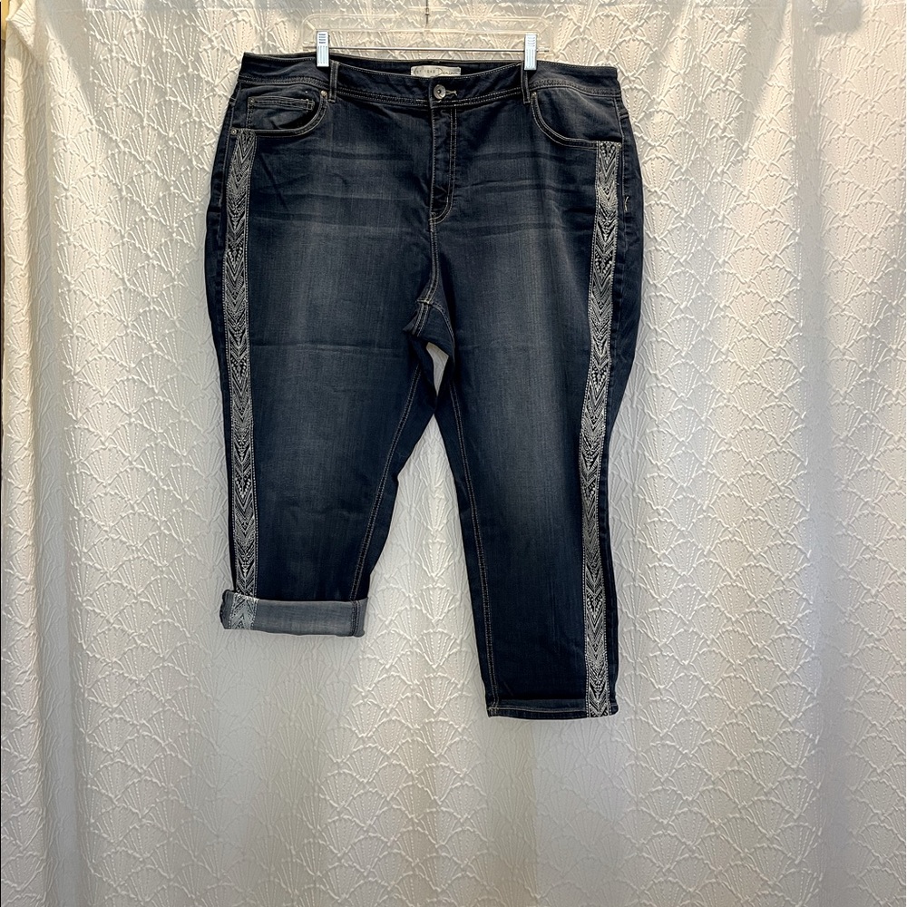 Embroidered Denim Cropped Pants 24W